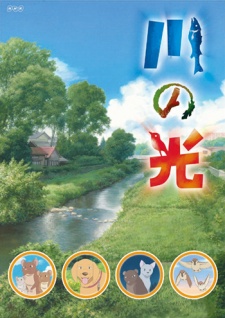 川の光 封面