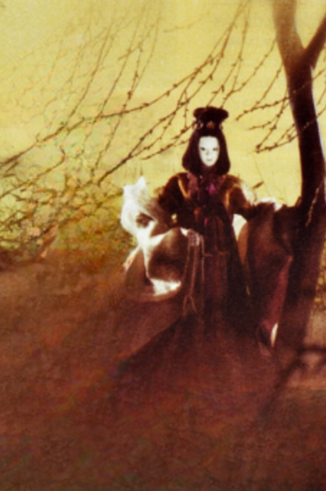火宅 封面