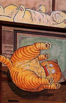 ホワッツマイケル 封面