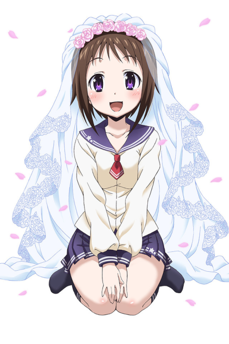 おくさまが生徒会長! 封面