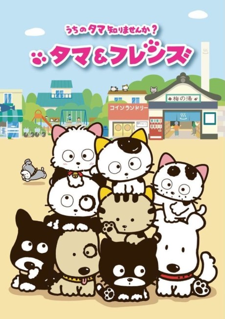 タマ＆フレンズ ～うちのタマ知りませんか？～ 封面