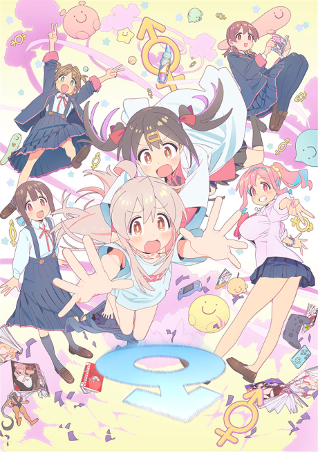 お兄ちゃんはおしまい！ 封面