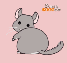 ざんねんないきもの事典 (第3シリーズ) 封面