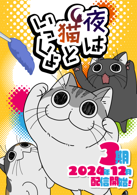 夜は猫といっしょ 3期 封面