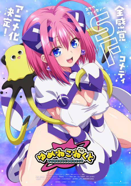 ゆめねこねくと 封面